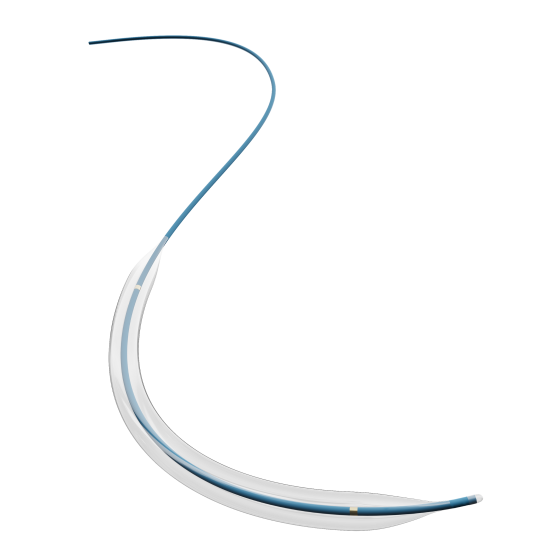 Peripheral Balloon Dilatation Catheter