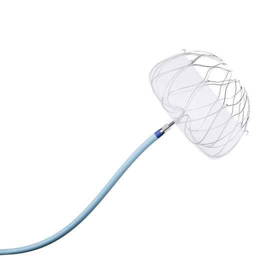 Left Atrial Appendage Occluder