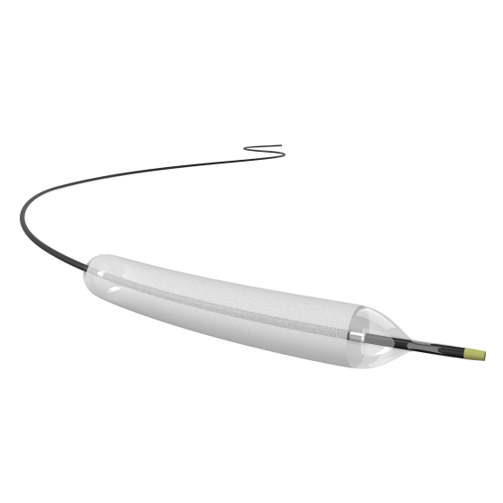 Paclitaxel Coated Coronary Balloon Dilatation Catheter