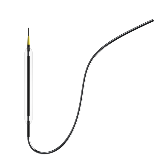 Disposable Non-compliant Coronary Balloon Catheter