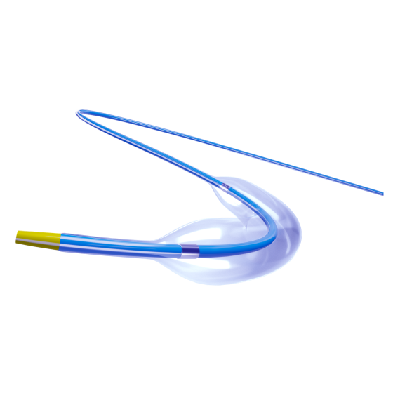 Disposable Intracranial Balloon Dilatation Catheter