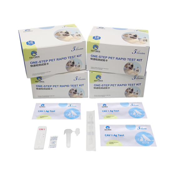 High Precision Pet Detection CAV1 Veterinary Diagnostic Kit