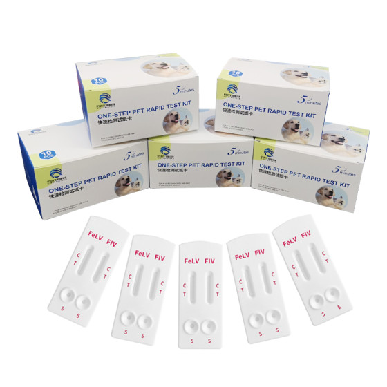 Cheap Price Combined Feline FIV+FeLV Veterinary Rapid test Kit for Veterinary
