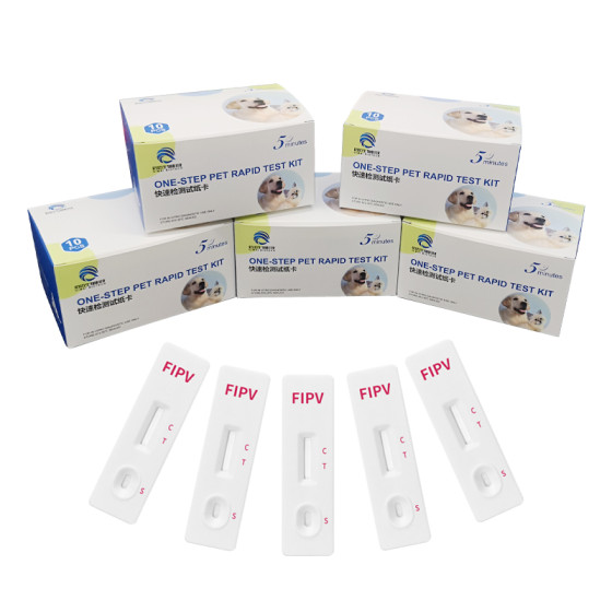High Precision Pet Detection FIPV Veterinary Diagnostic Kit