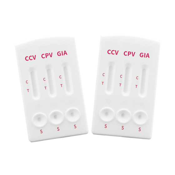 Combined CCV/CPV/Giardia at Home Easy to test Dog Diagnostic Testing