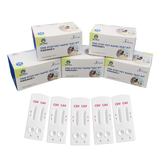 High Precision Pet Detection CDV CAV/CAV2 Veterinary Diagnostic Kit