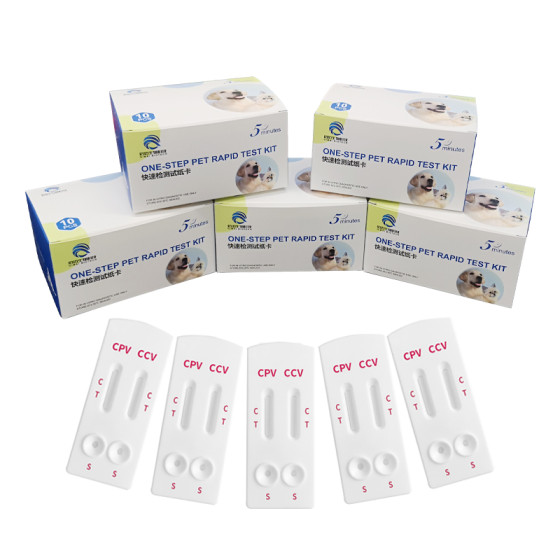 High Precision Pet Detection CPV CCV Veterinary Diagnostic Kit