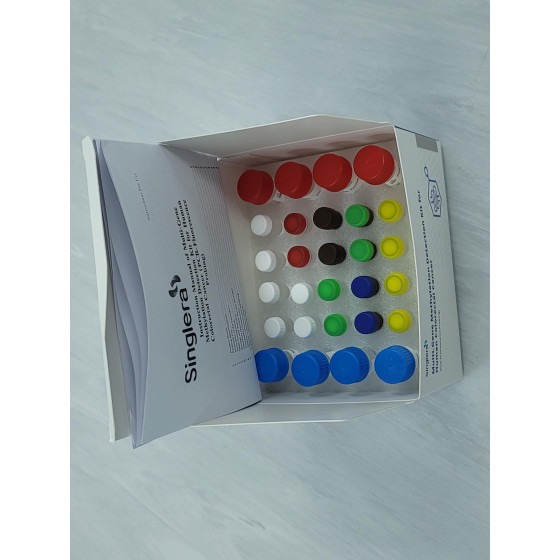 Multi-Gene Methylation Detection Kit for Human Colorectal Cancer