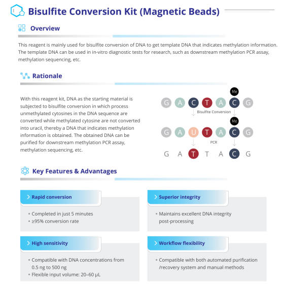 Bisulfite Conversion Kit (Magnetic Beads)