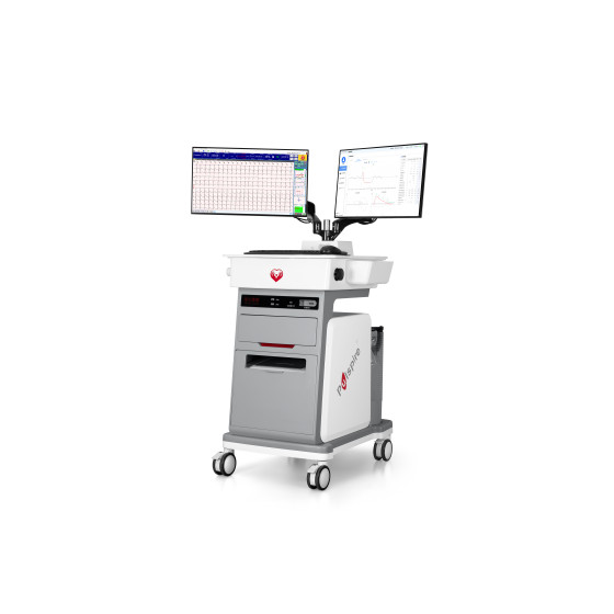 Cardiopulmonary Exercise test System