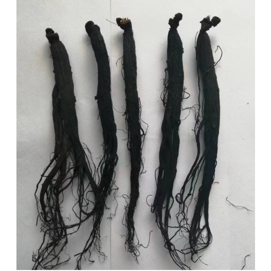 Black Ginseng