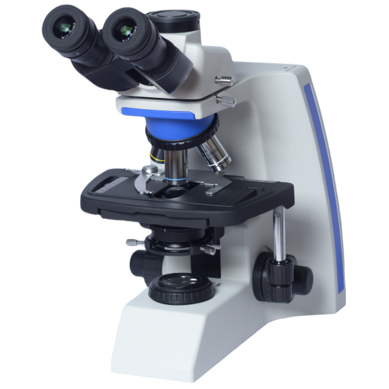 Biological Microscope