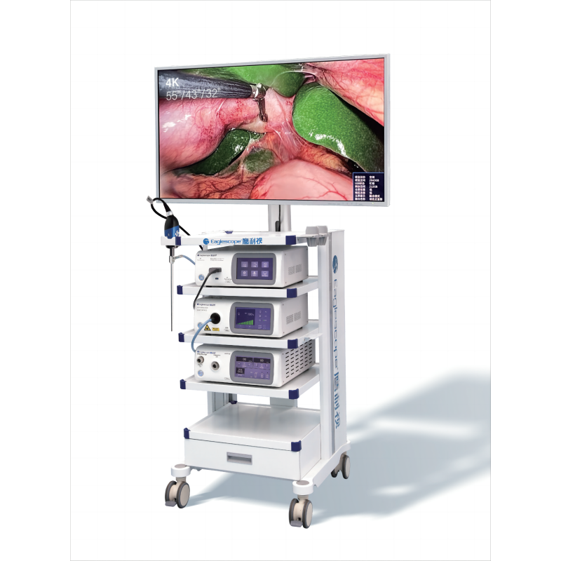 4K fluorescence endoscope camera system